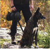 Foldable Waterproof Pet Travel Mat