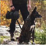 Foldable Waterproof Pet Travel Mat