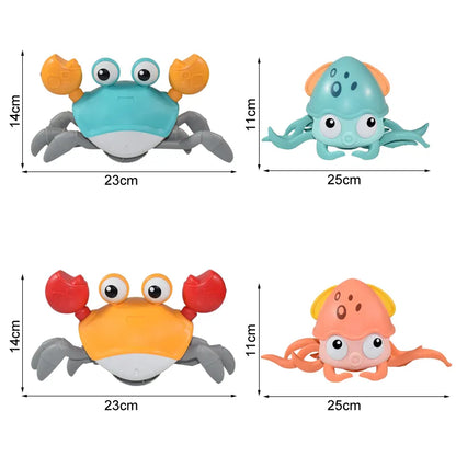 Crawling Crab Toy