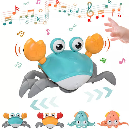 Crawling Crab Toy