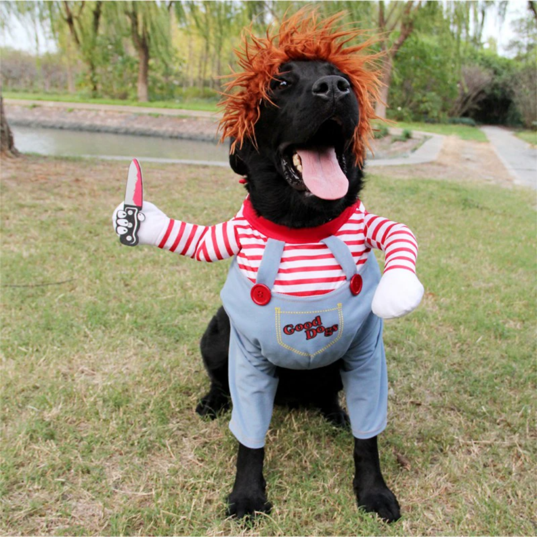 Pet Chucky Costume