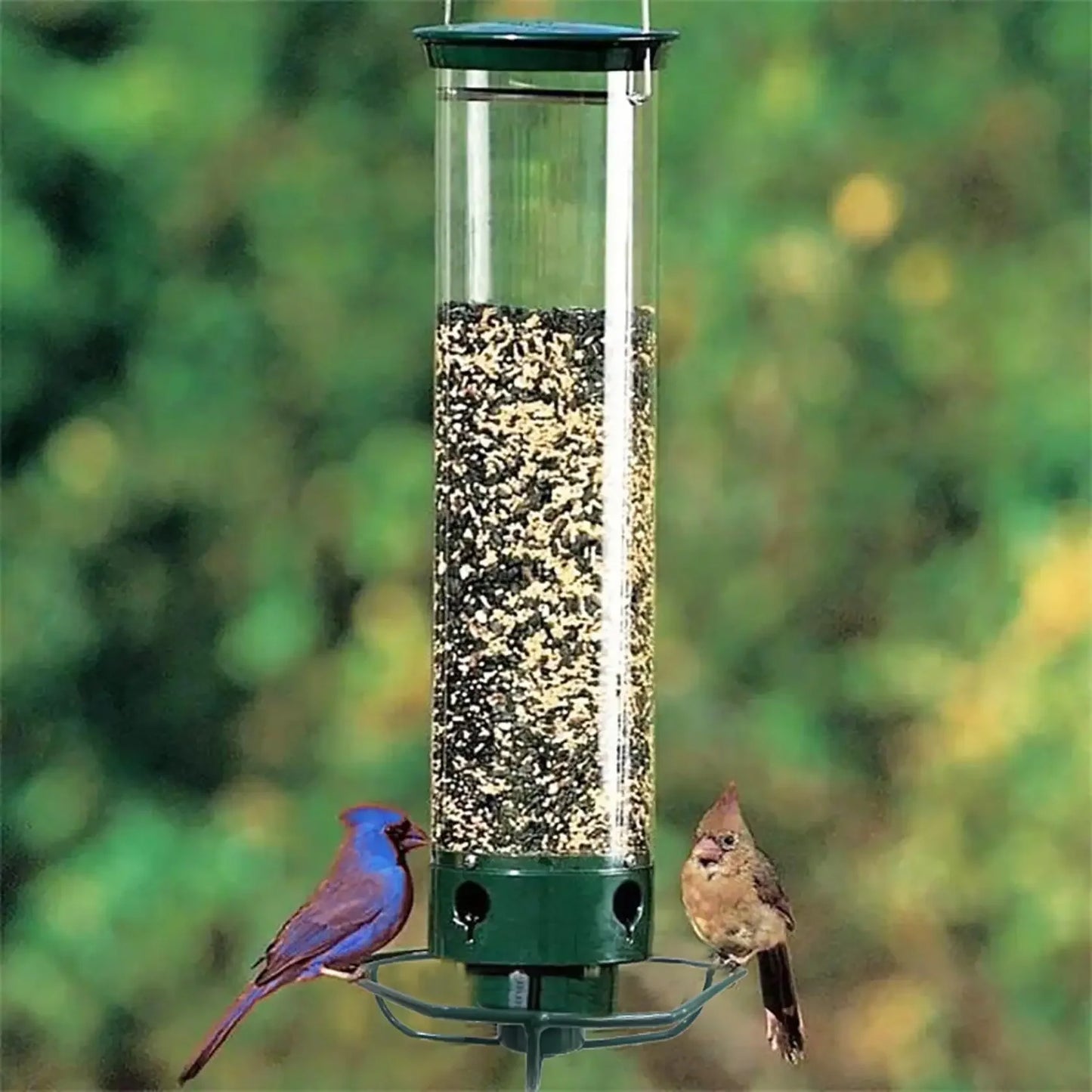 SpinGuard Squirrel-Proof Bird Feeder